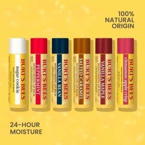NWT - Burt's Bees Bake Shop Lip Balm Collection (set of 6) 6 yummy flavors
